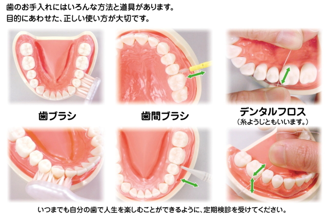 歯のお手入れ