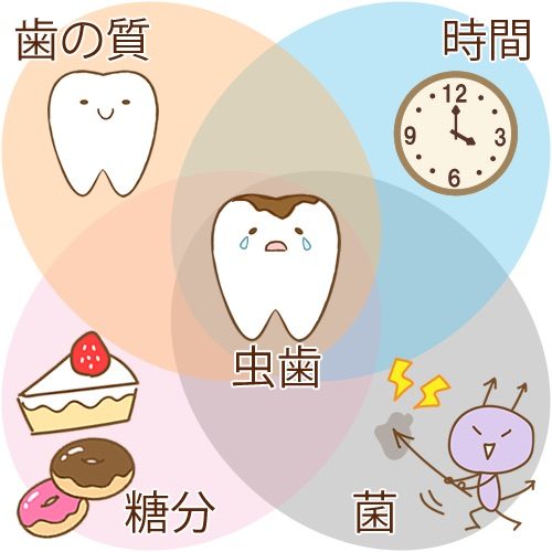 筑後市　妊婦歯科検診