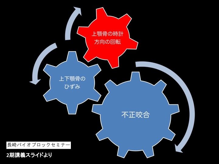 筑後　子供の矯正
