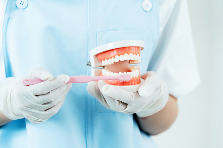 ブラッシング指導の様子