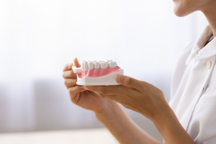 ブラッシング指導の様子